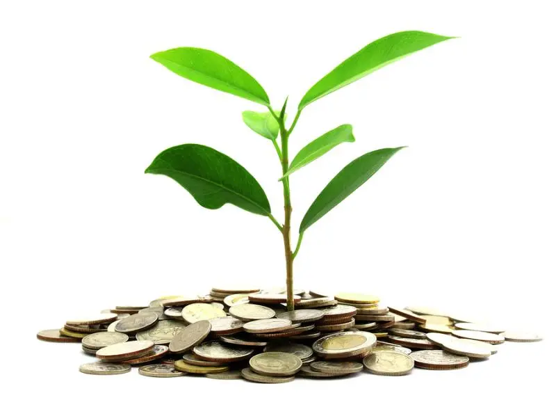 Инвестиции SKF в сохранение экологии | Свежие новости в Петрозаводске