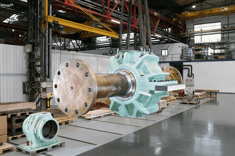 Морской сектор | Свежие новости в Петрозаводске